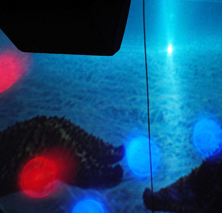 Geschmacksverstaerker0712 (49)